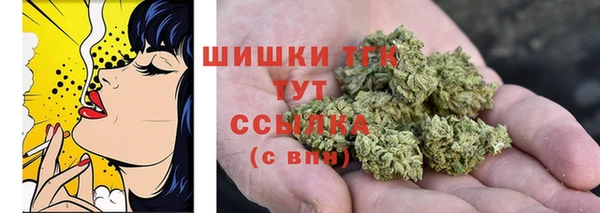 мяу мяу мука Костерёво