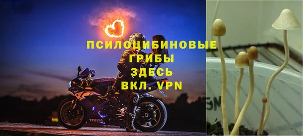 скорость Корсаков