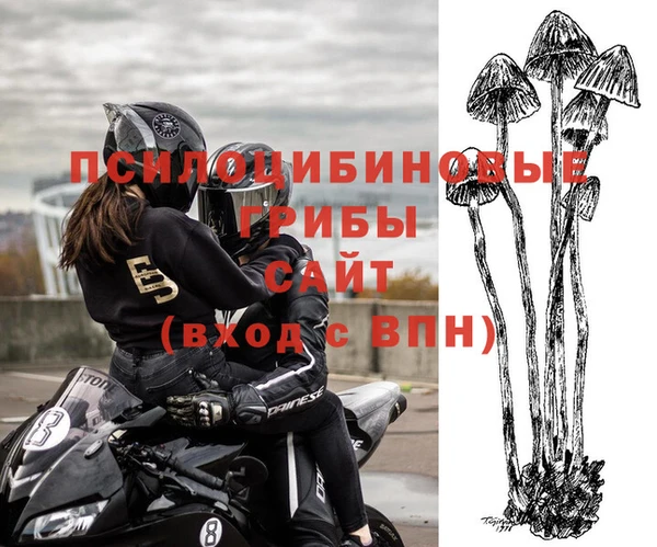 стаф Тобольск